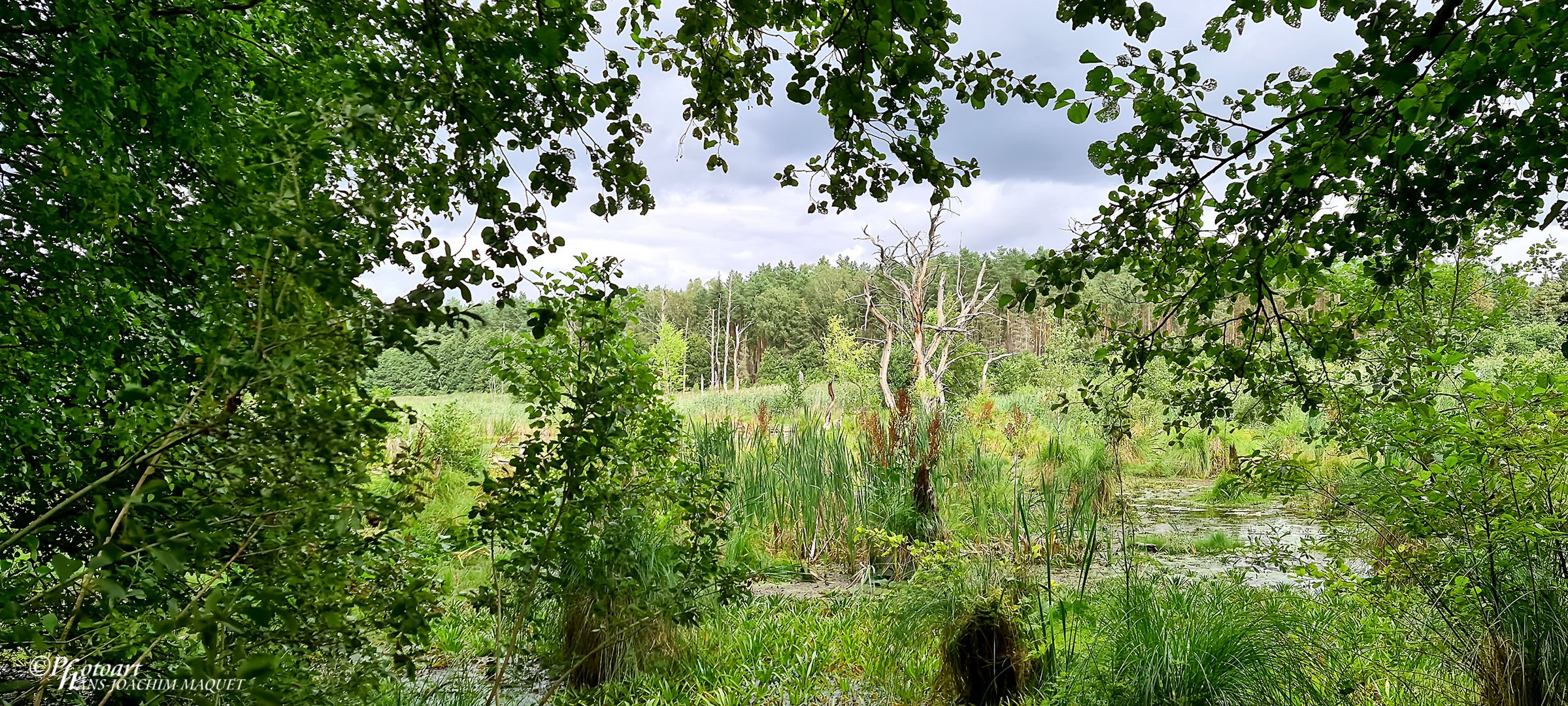 Mühlensee - Müritz Nationalpark