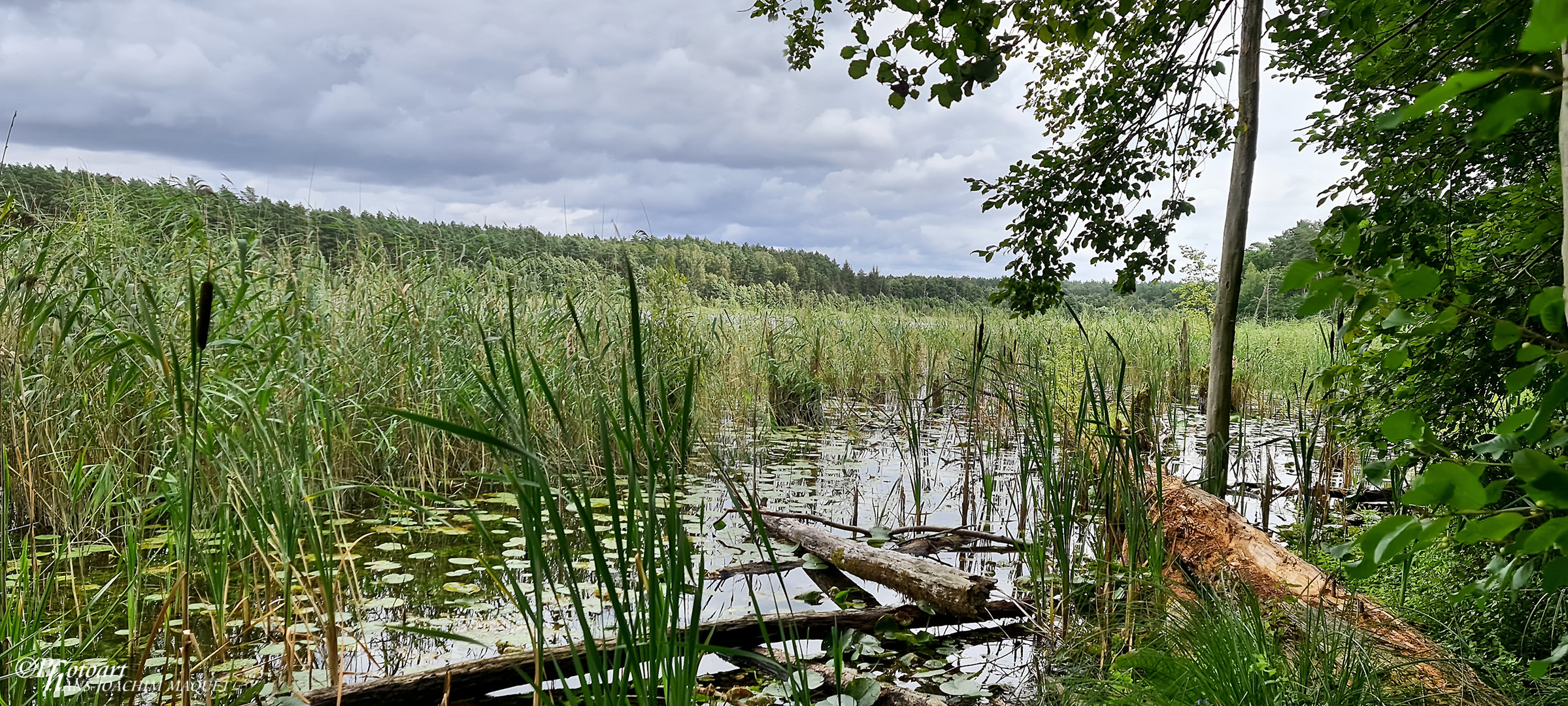 Mühlensee - Müritz Nationalpark