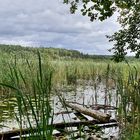 Mühlensee - Müritz Nationalpark