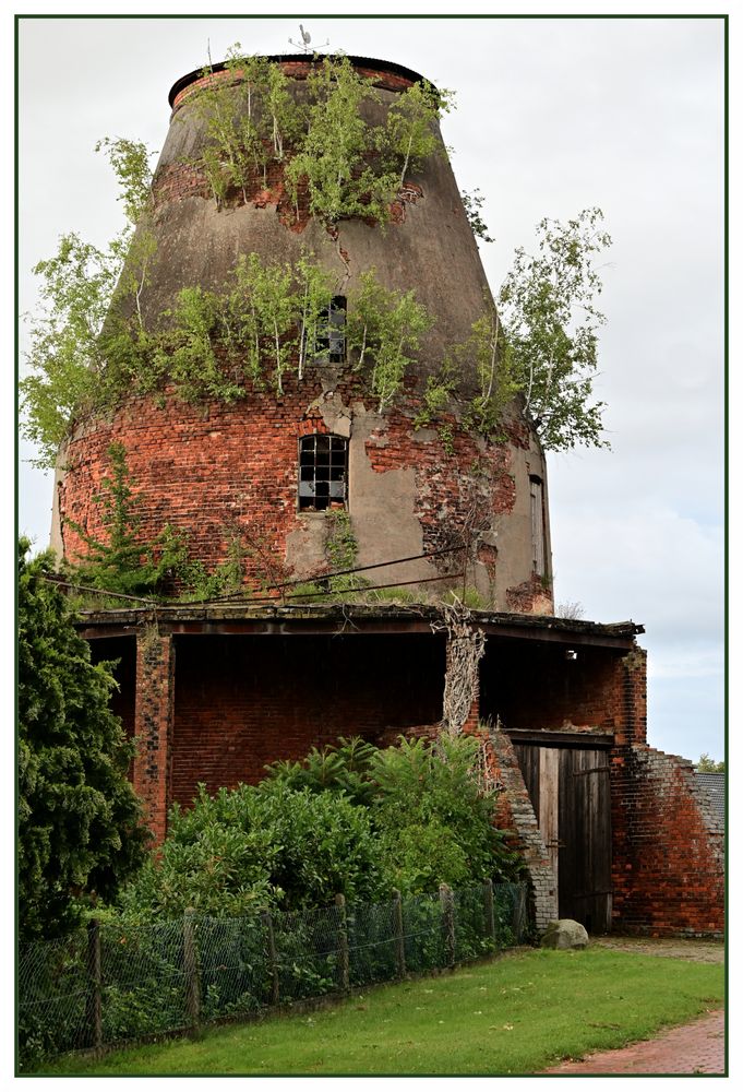 Mühlenstumpf in Windheim