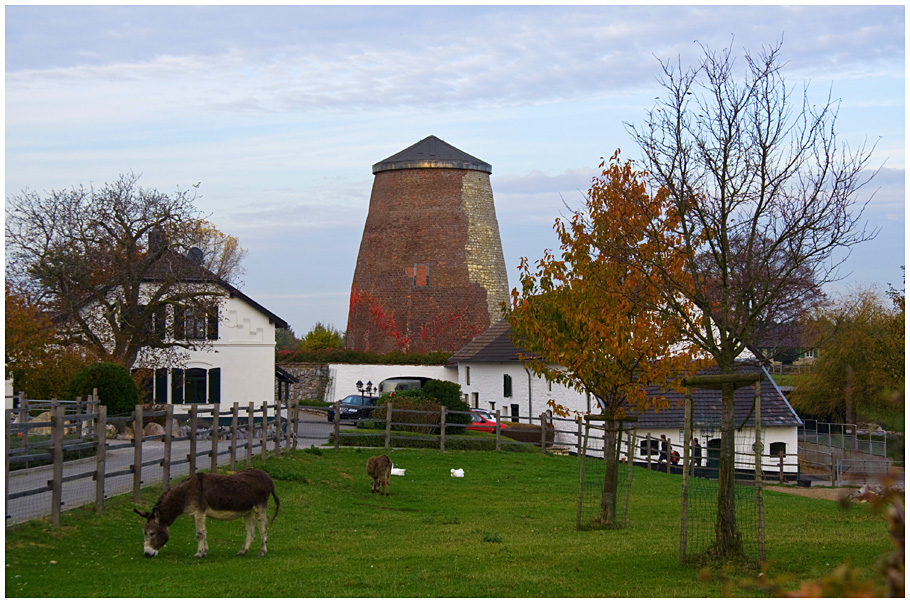 Mühlenstumpf mit Esel