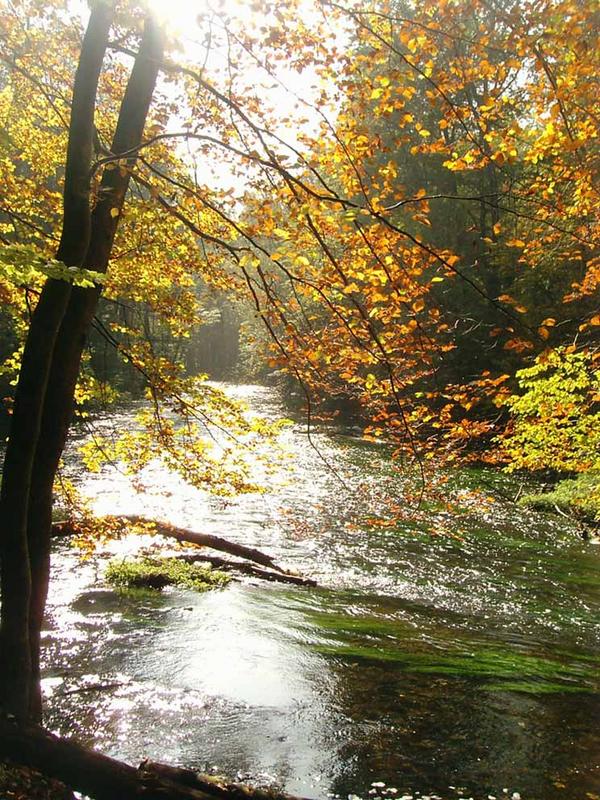 Mühlental zwischen München und Starnberg