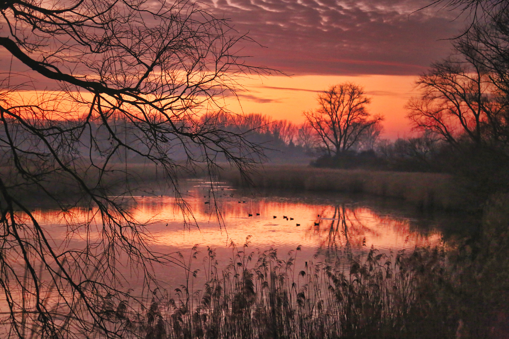 Mühlenteich 12 Sonnenuntergang