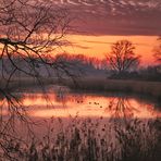 Mühlenteich 12 Sonnenuntergang