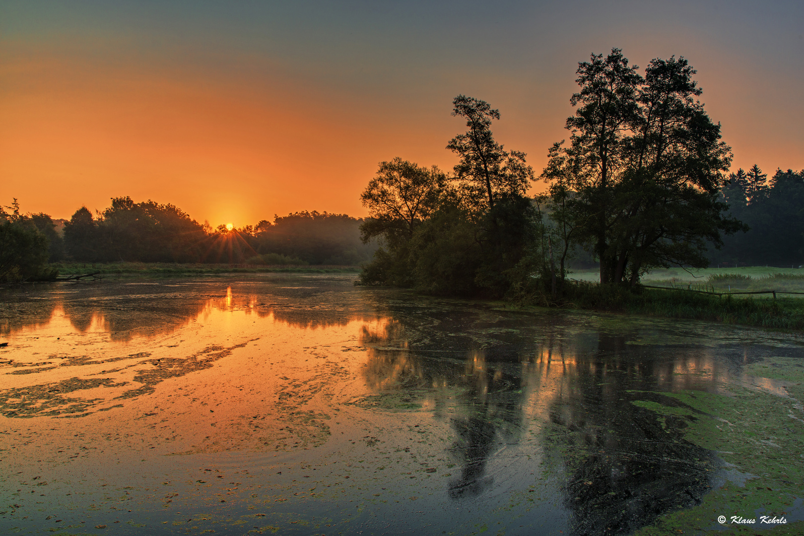 Mühlenteich - 13091603