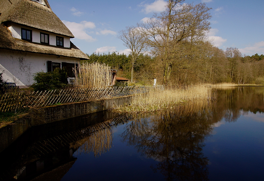 Mühlenteich