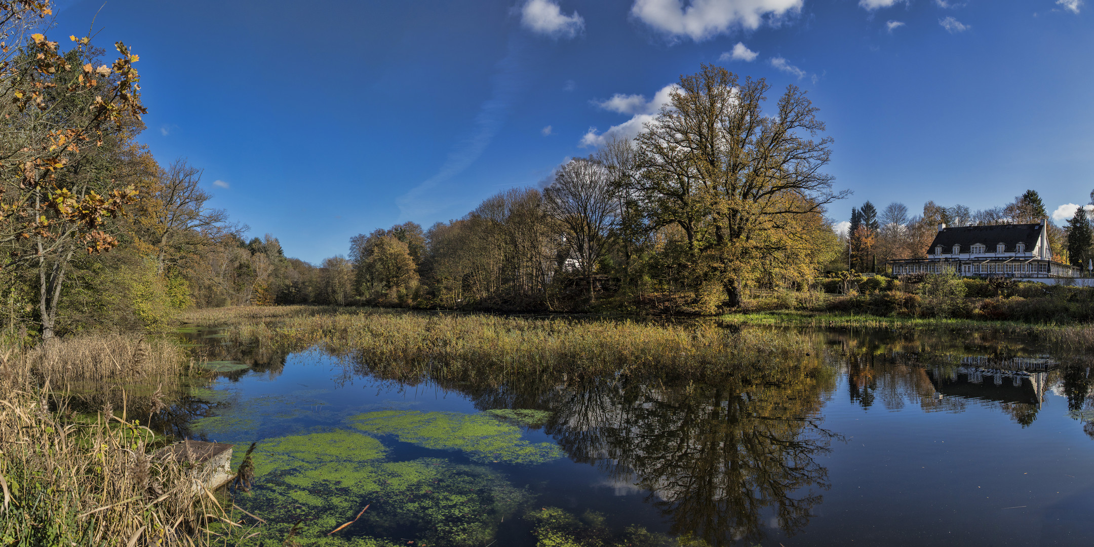 Mühlenteich - 30101901