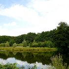 Mühlenteich an der Aprather Mühle im Bergischen Land.