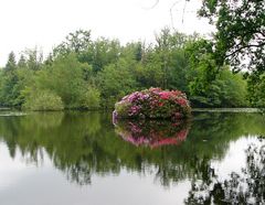 Mühlenteich Eggersmühlen / b. Schneverdingen