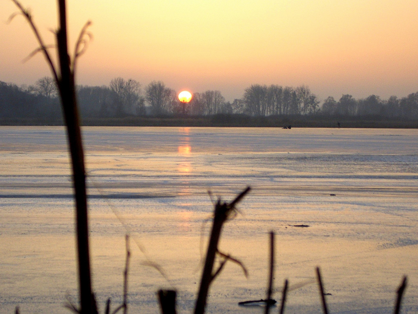 mühlenteich friedland