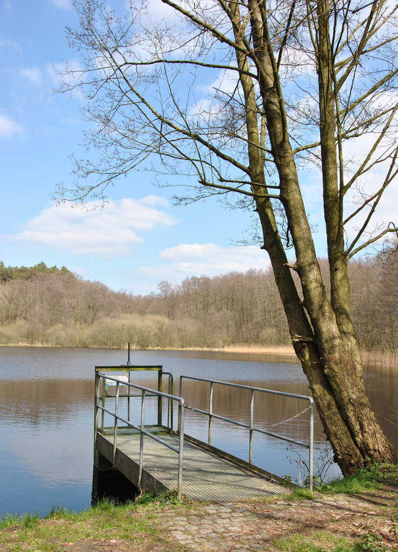 "Mühlenteich - Frühling"