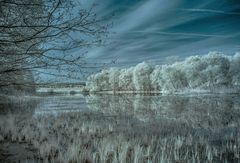 Mühlenteich im Frühling Infrarot