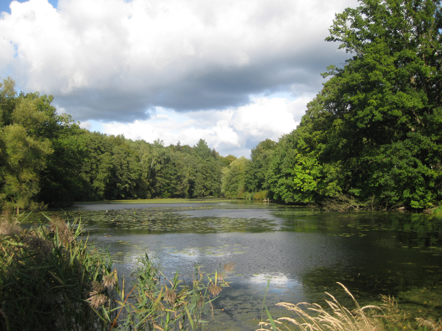 Mühlenteich in Aumühle