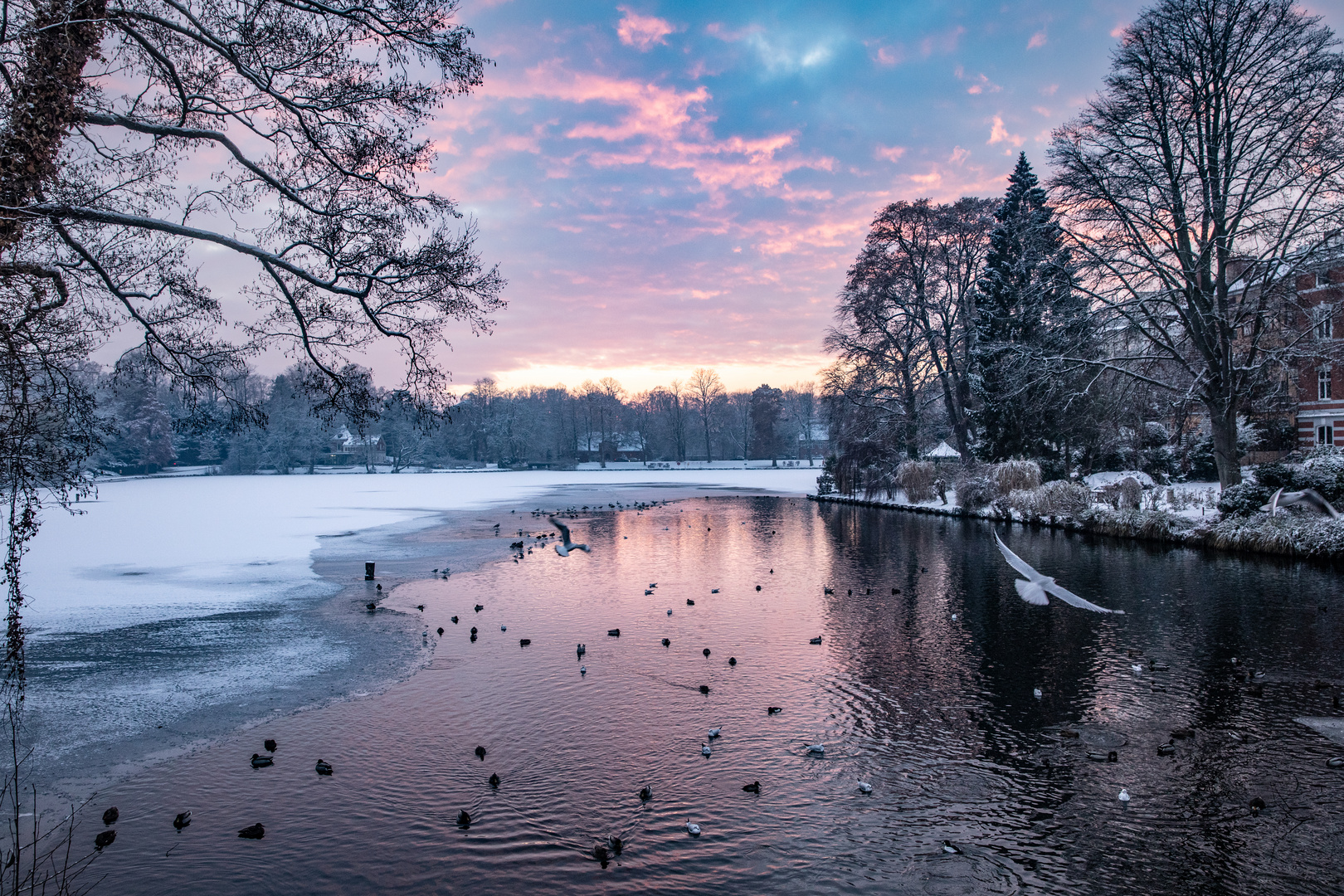 Mühlenteich in Lübeck 