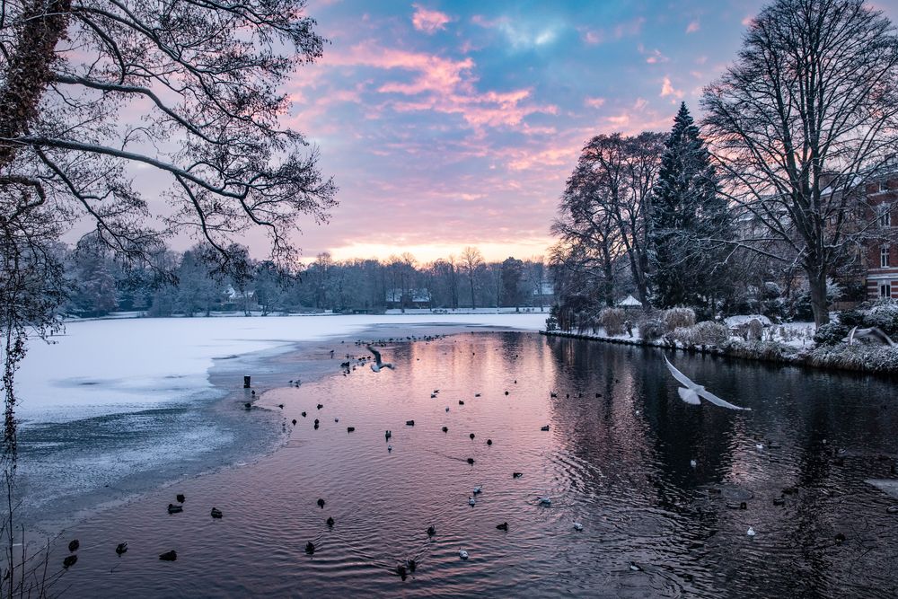 Mühlenteich in Lübeck 