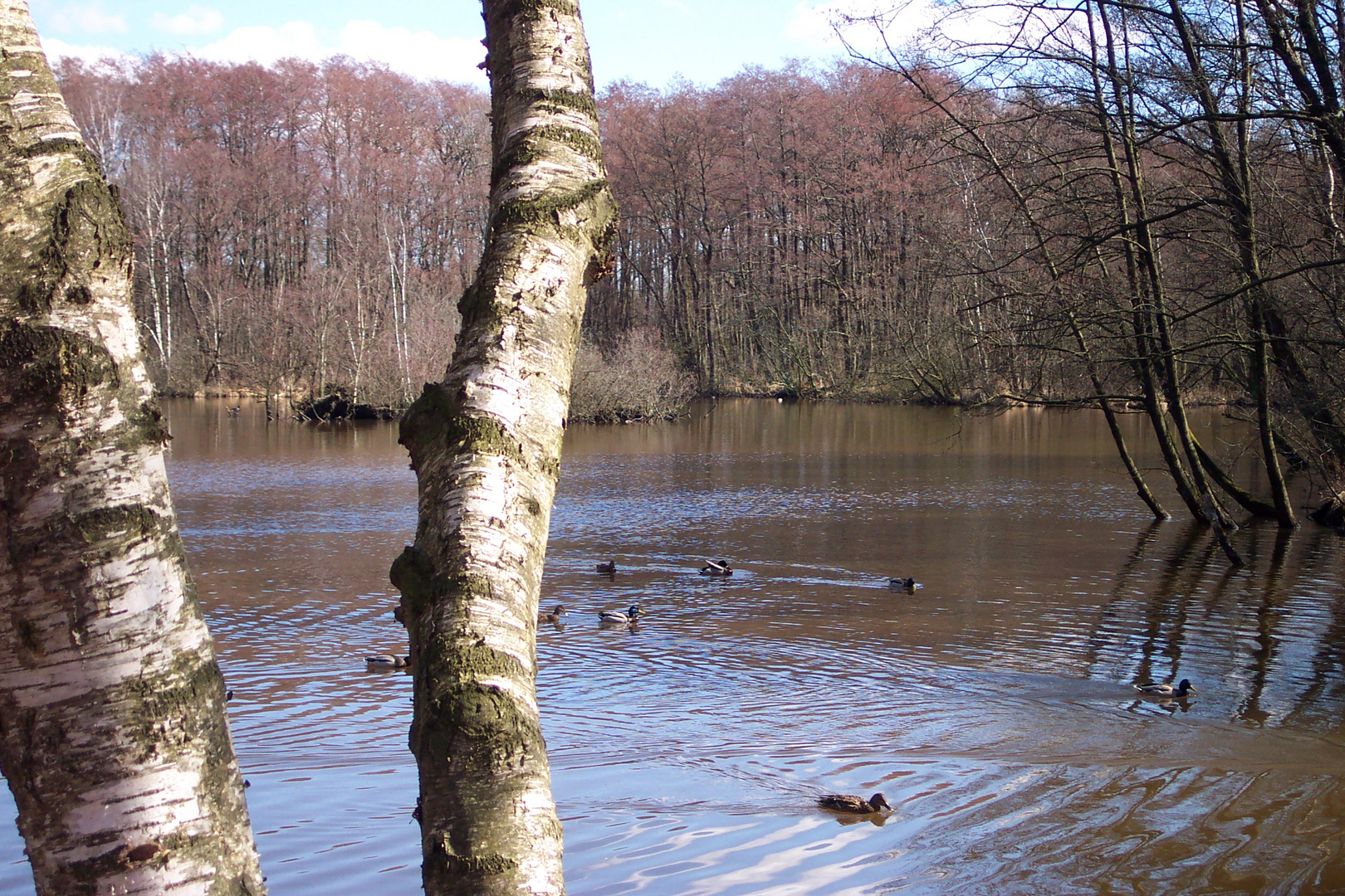 Mühlenteich in Meyenburg