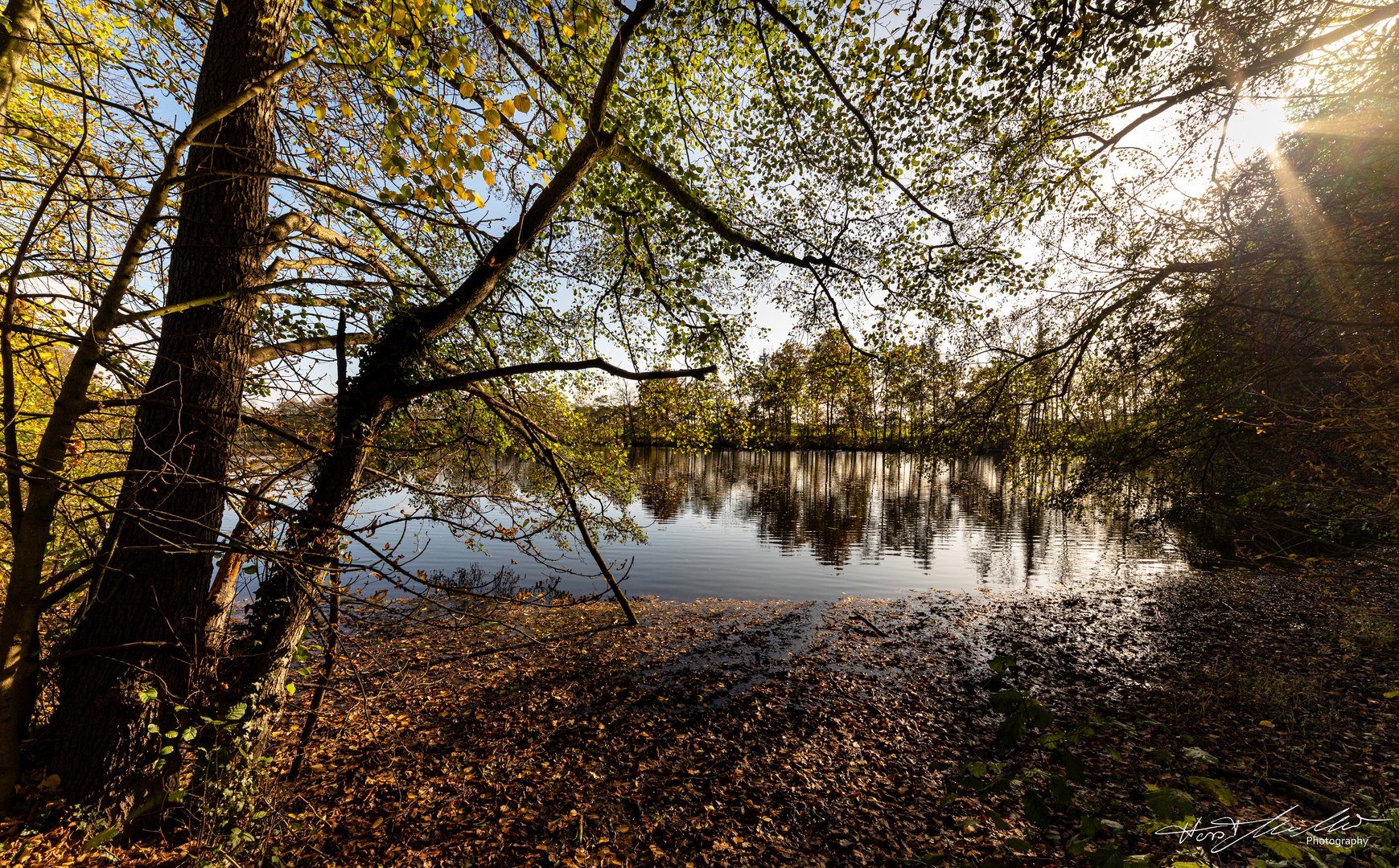 Mühlenteich in Stade/Hagen