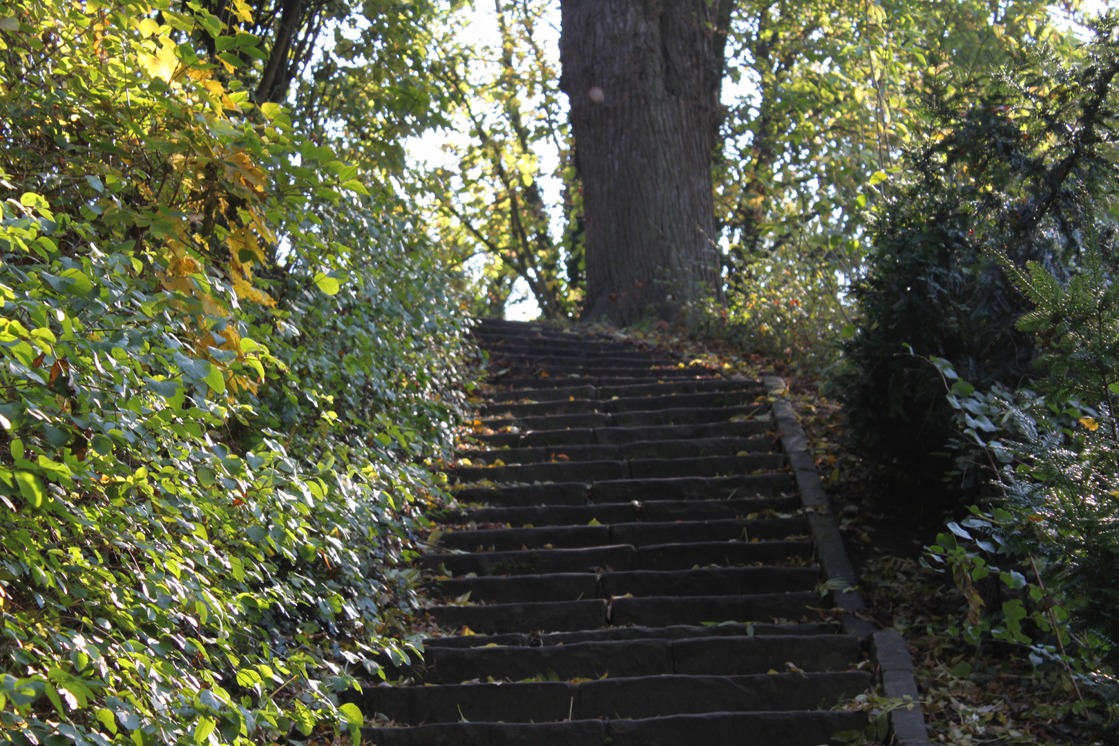 Mühlenteich Lübeck 1