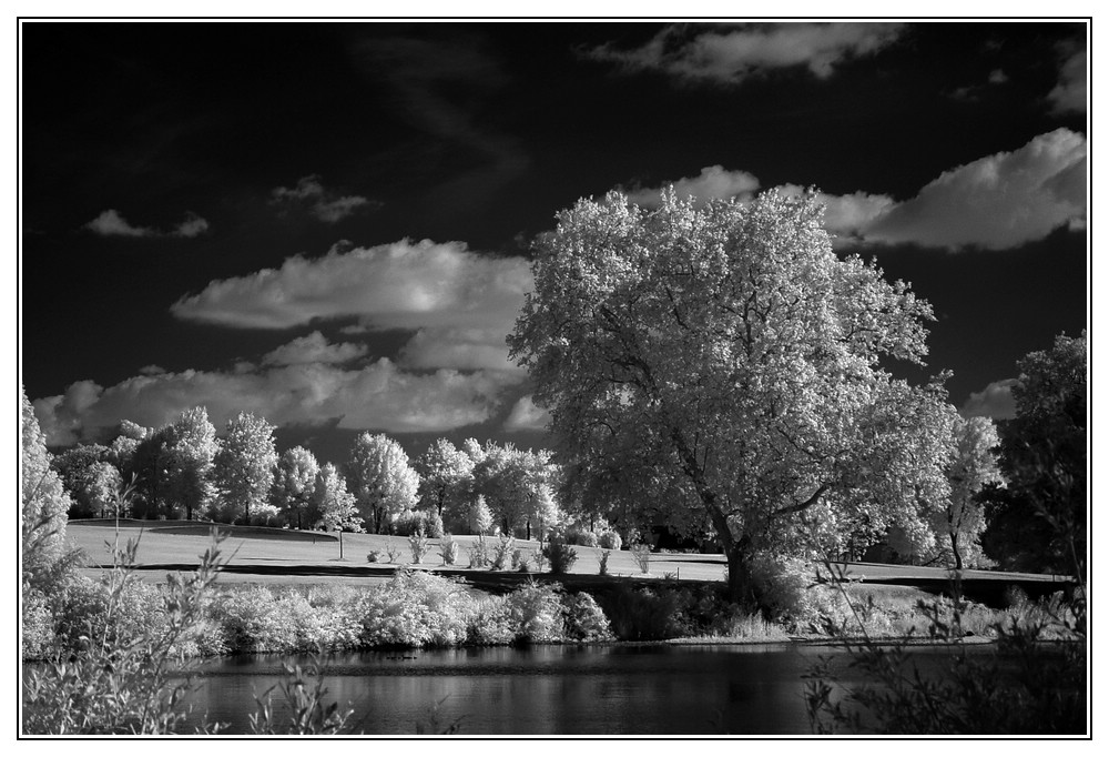 Mühlenteich Ostenfelde IR