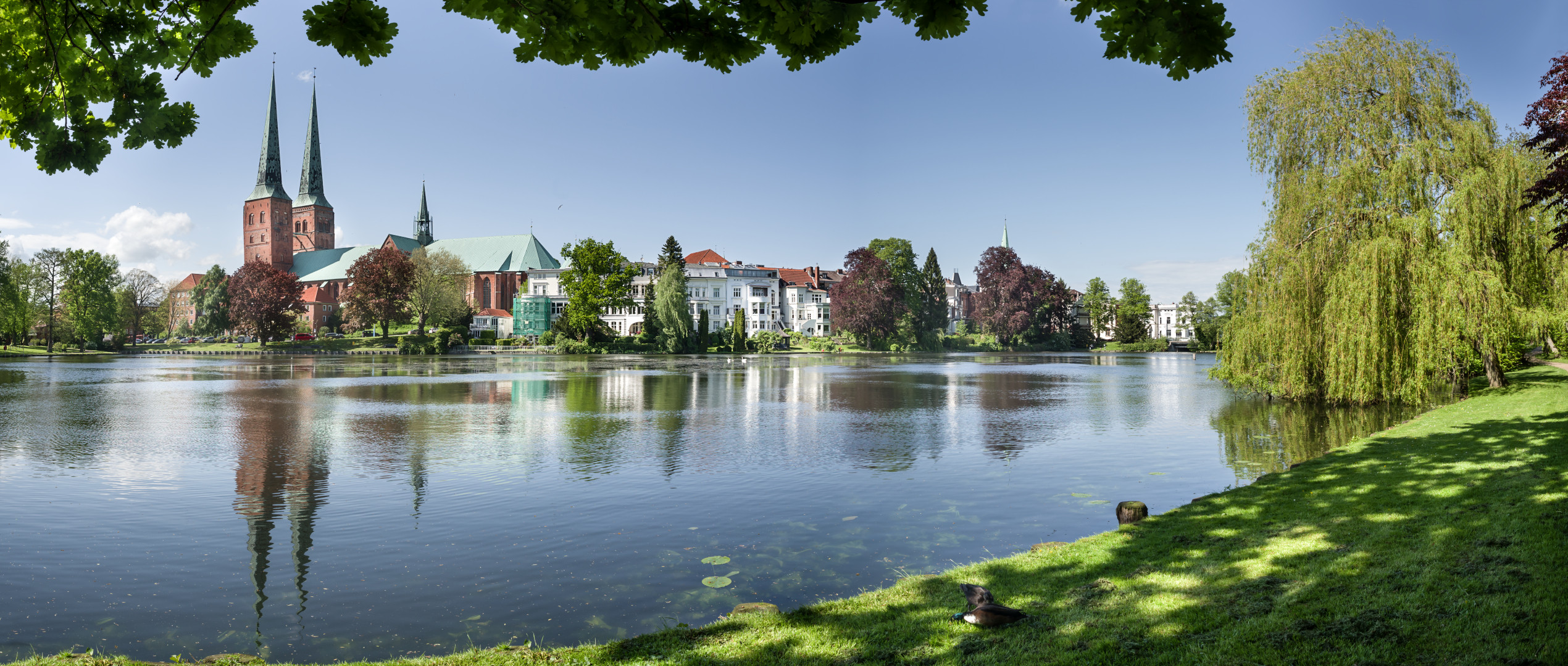 Mühlenteich Pano