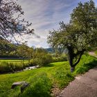 Mühlenwanderweg Ottenhöfen