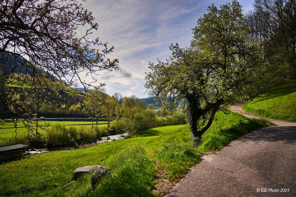 Mühlenwanderweg Ottenhöfen