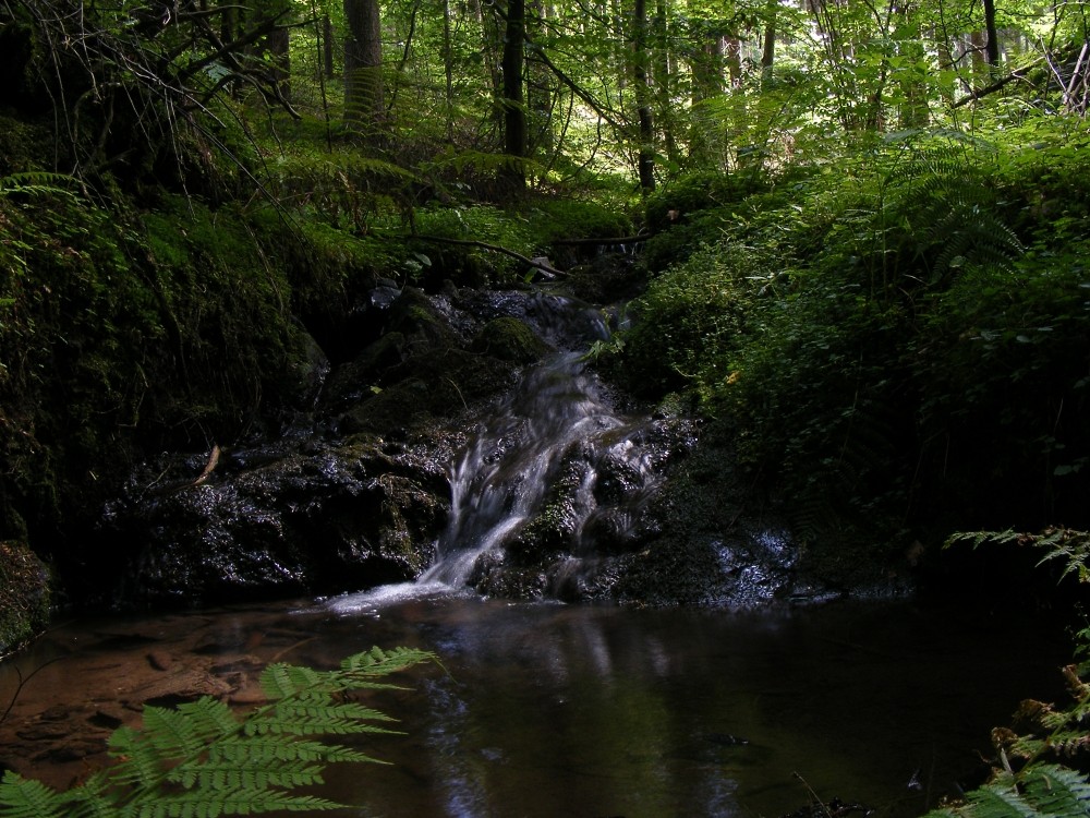 Mühlenweg