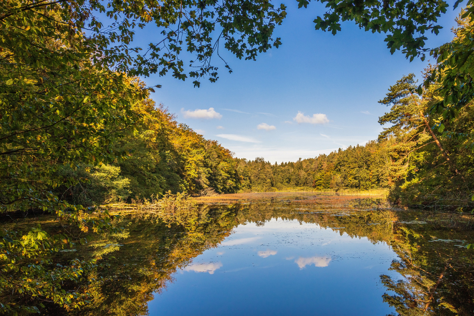 Mühlenweiher