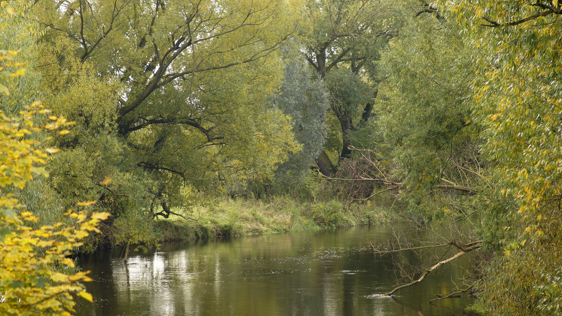 Mühlgraben in Eilenburg