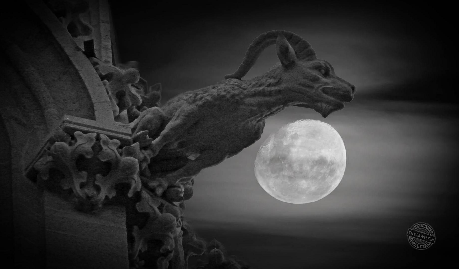 Mühlhäuser Marienkirche und der Mond.