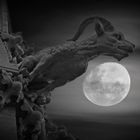 Mühlhäuser Marienkirche und der Mond.