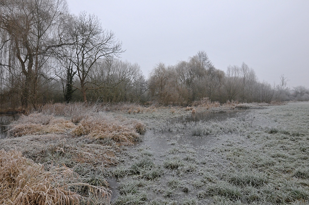 Mühlheim: Lebensraum des Bibers 01