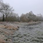 Mühlheim: Lebensraum des Bibers 01