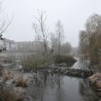 Mühlheim: Lebensraum des Bibers 06