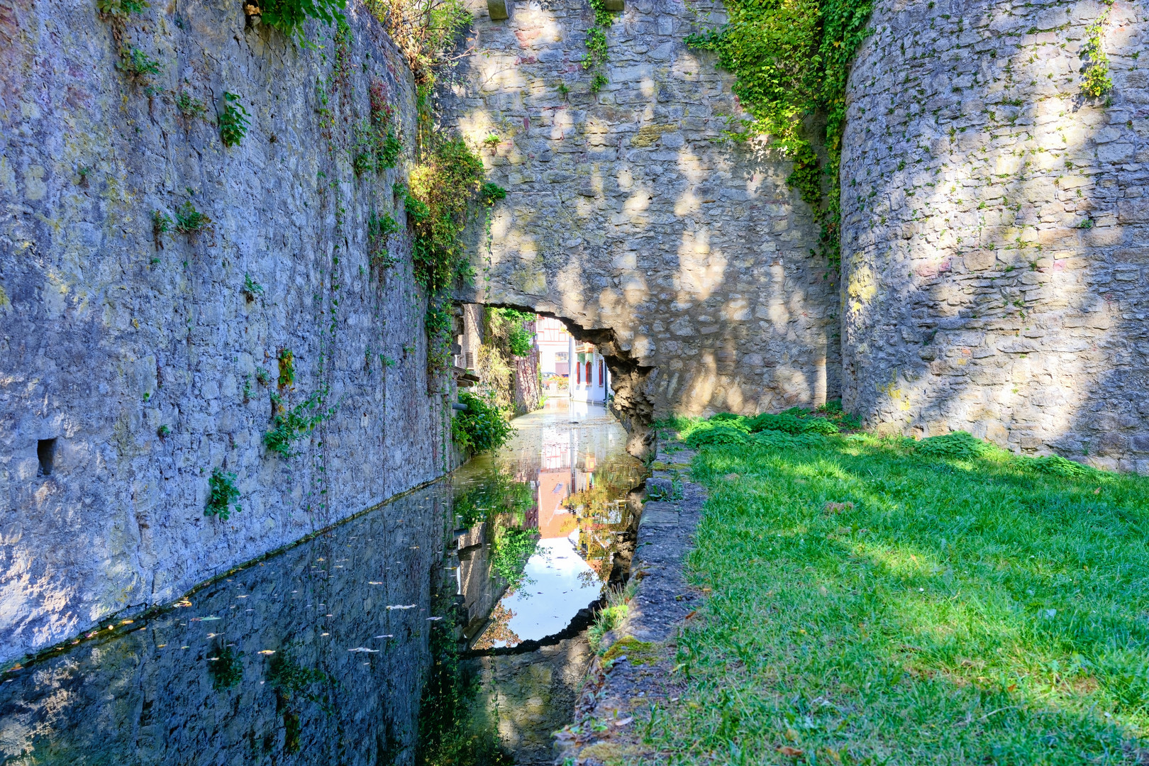 Mühlkanal in Tauberbischhofsheim