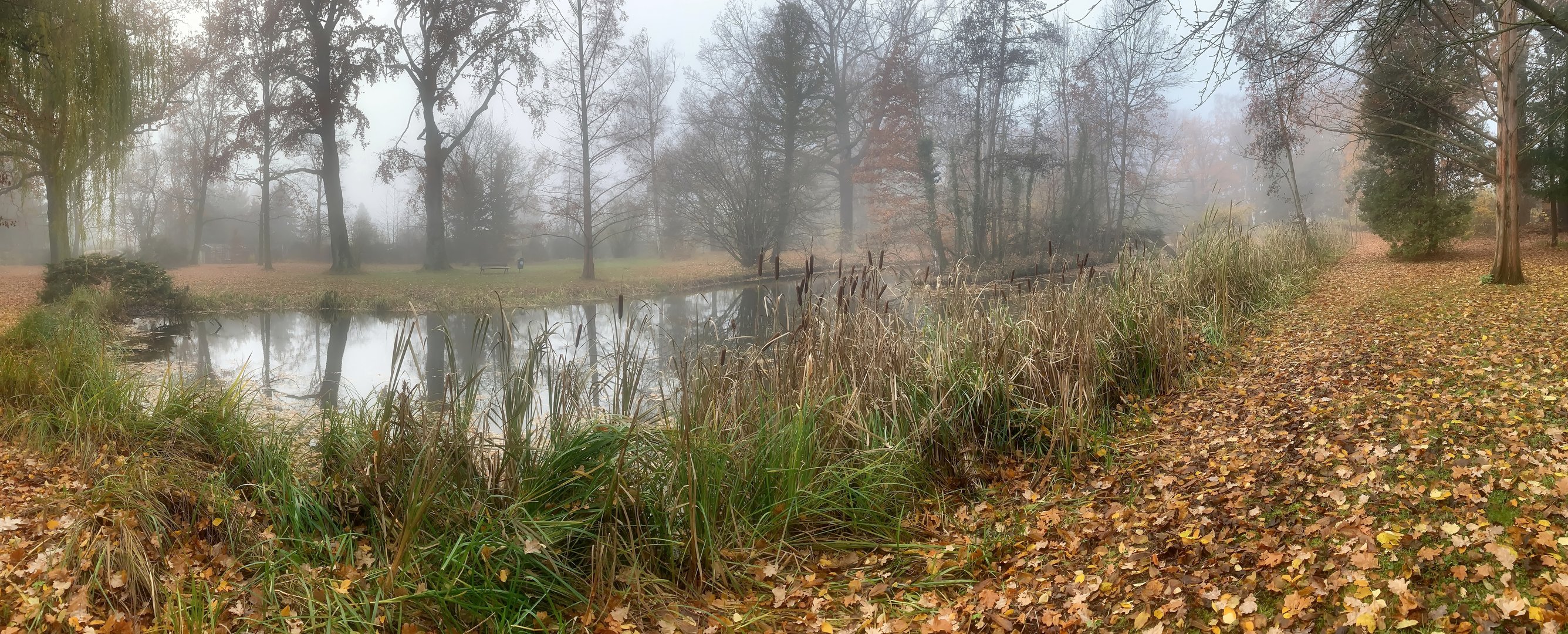 Mühlpark Leipzig Großzschocher Foto & Bild landschaft, jahreszeiten