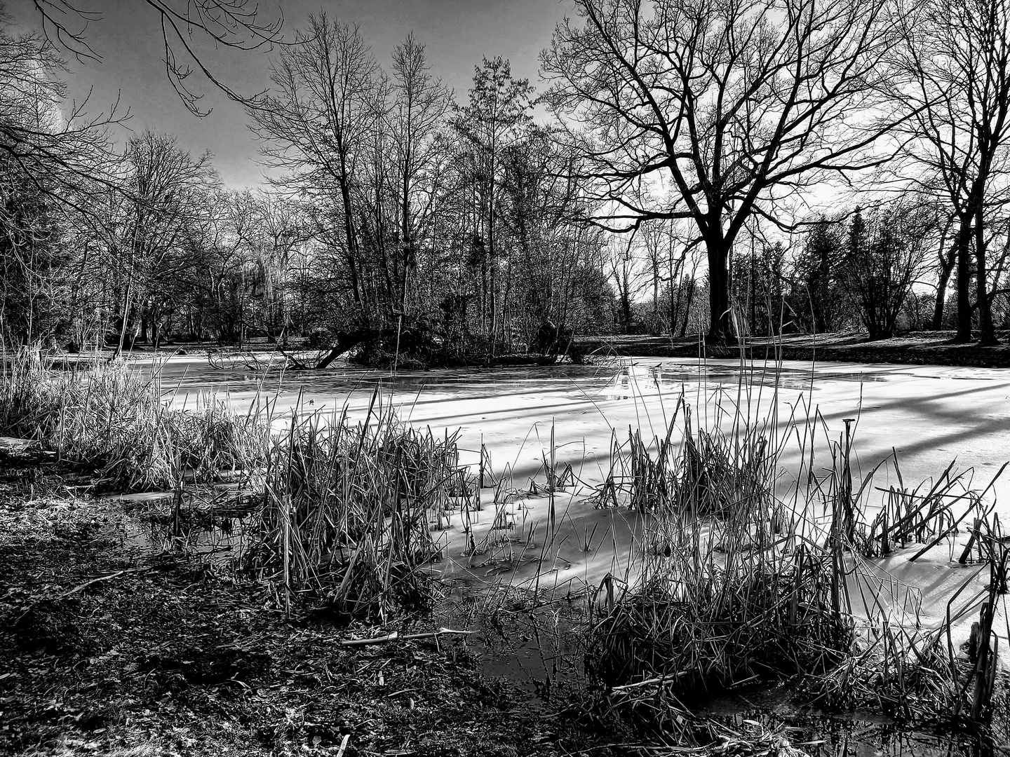 Mühlparkteich Großzschocher 2021