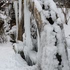 Mühlrad im frostigen Griff des Winters