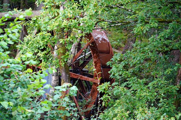 Mühlrad im Wald