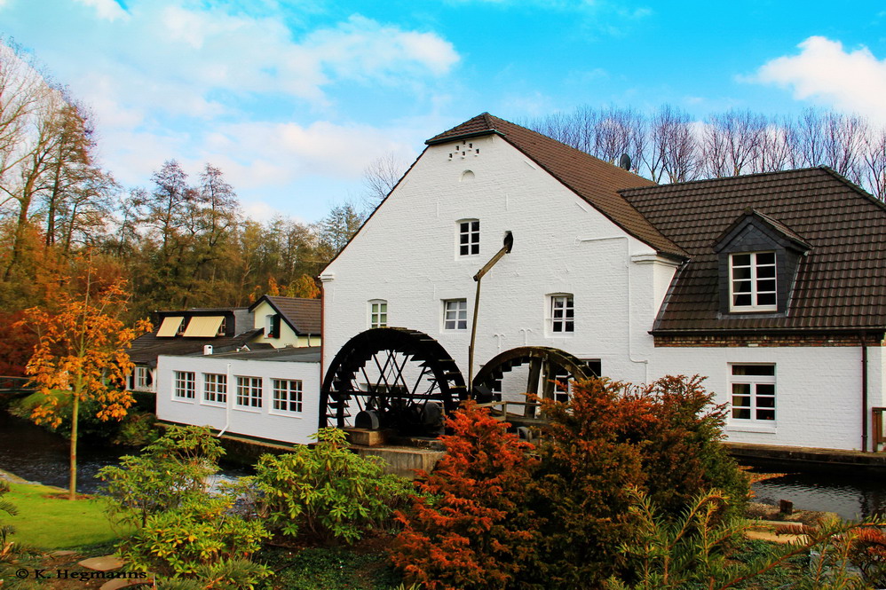 Mühlrather Mühle, Hariksee