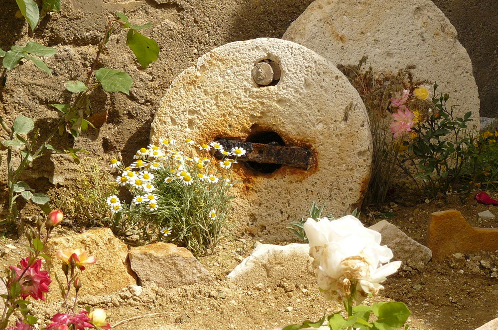 Mühlsteine im Garten