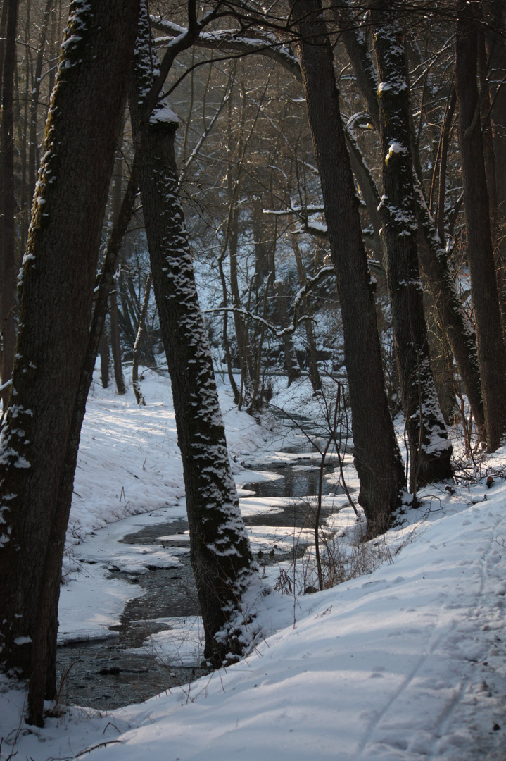 Mühltalbach bei - 7 Grad heute