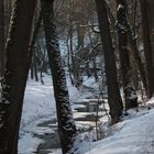 Mühltalbach bei - 7 Grad heute