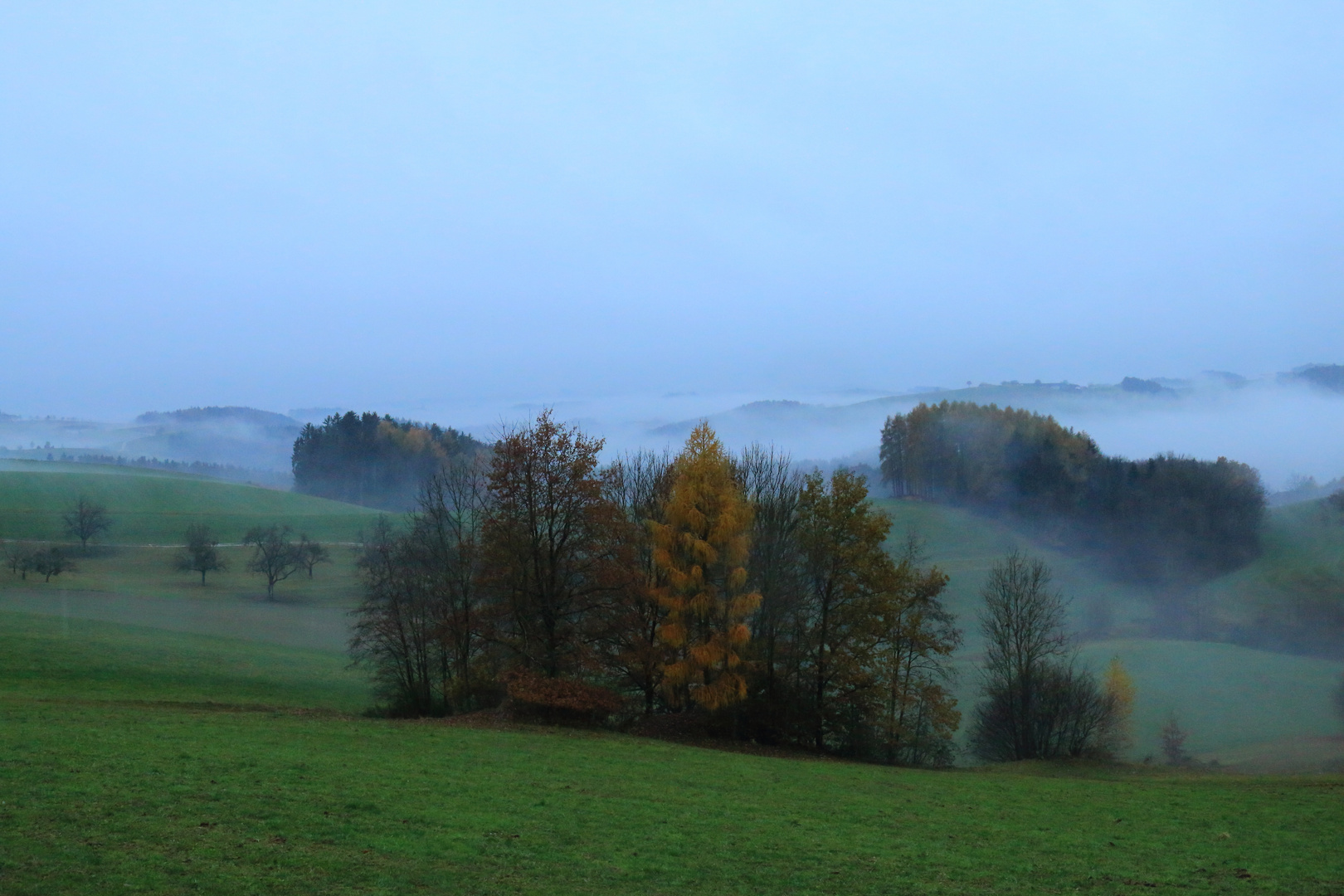 Mühlviertel Nebel im Herbst