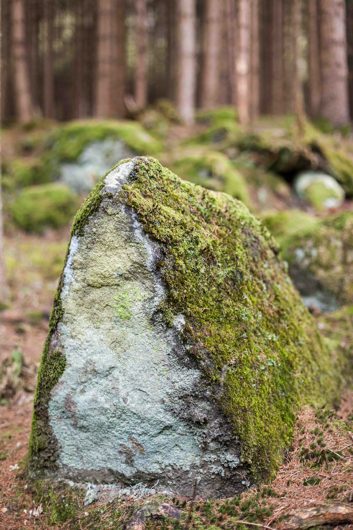 Mühlviertler Granitstein mit Moosbekleidung