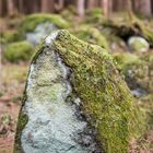 Mühlviertler Granitstein mit Moosbekleidung