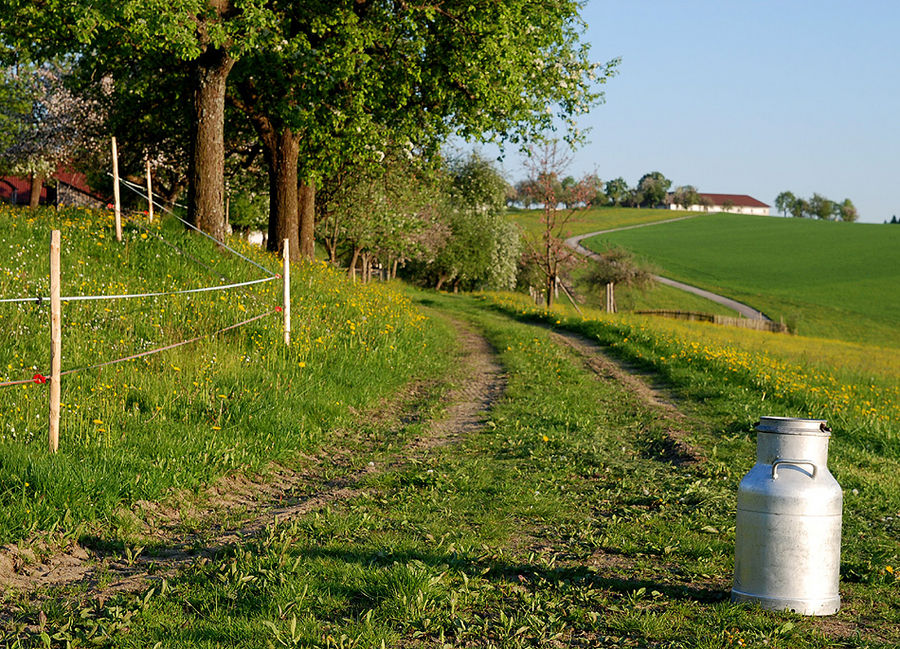 Mühlviertler Idylle