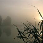 Mühsam kämpft sich die Sonne durch den Nebel