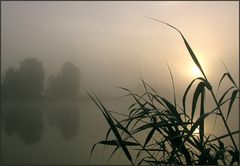 Mühsam kämpft sich die Sonne durch den Nebel