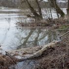 Müll / Hochwasser